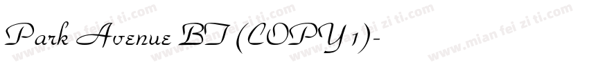 Park Avenue BT (COPY 1)字体转换